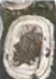 R&d 12 iShot 2025 05 16 20.31.33