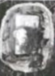 R&d 13 iShot 2025 05 16 20.31.41