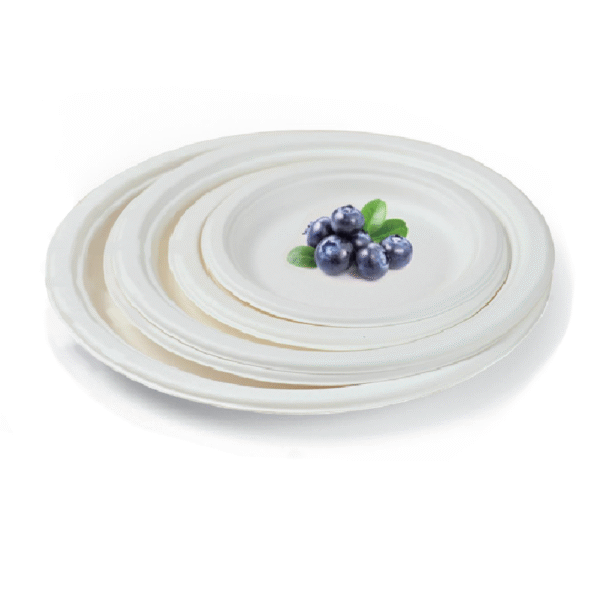 6"Plate(YP-060)