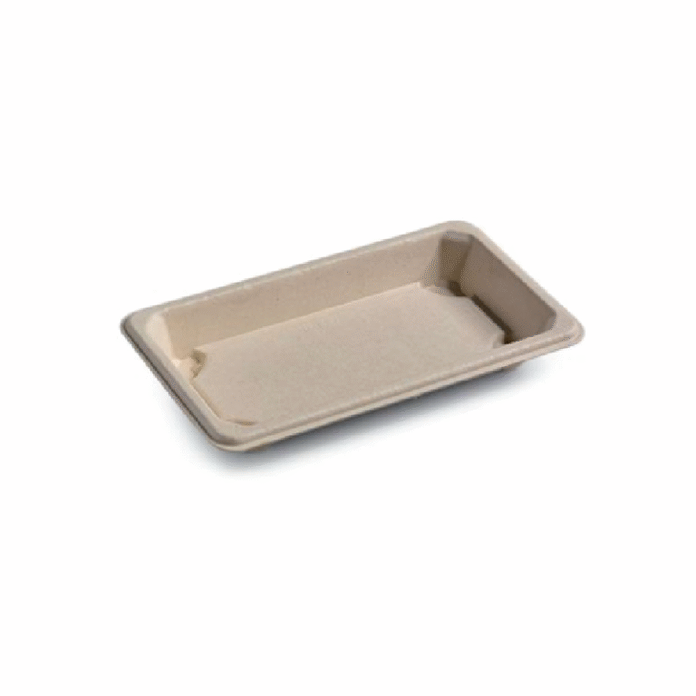 Sushi tray 04