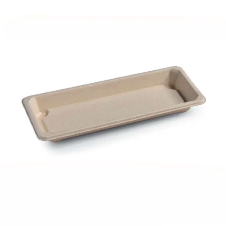Sushi tray 06