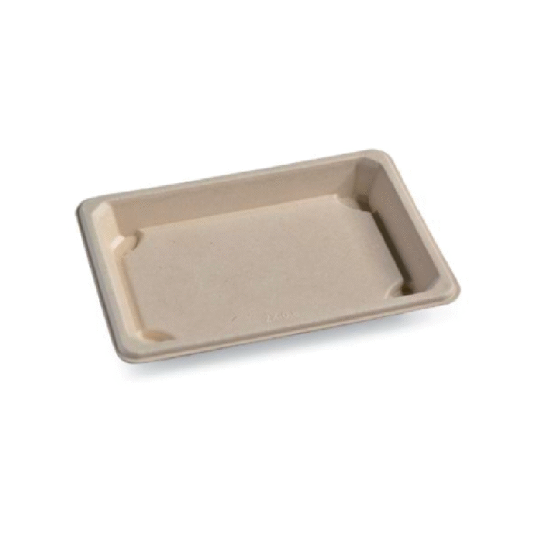 Sushi tray 08