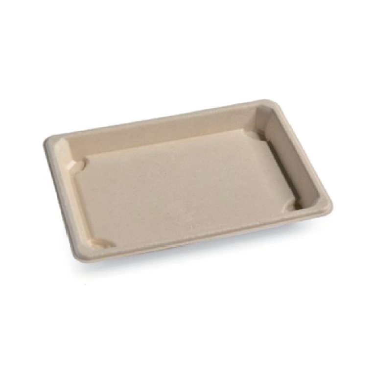 Sushi tray 10